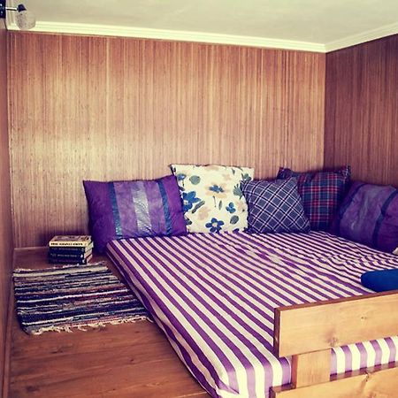 Magic Bus Hostel 리비프 외부 사진